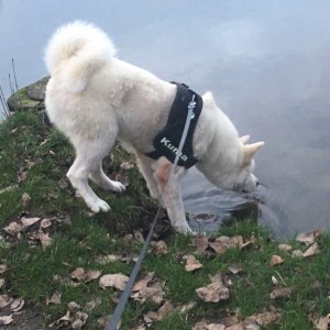 IMG-20151230-WA0000
