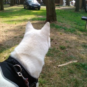IMG 20150815 125815