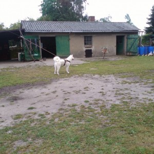 IMG 20150818 172117