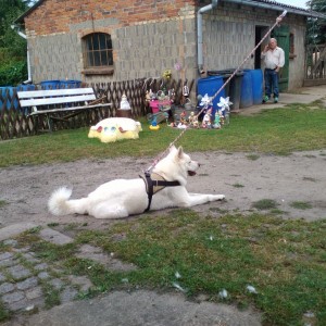 IMG 20150818 180313