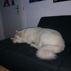 IMG 20151017 191905