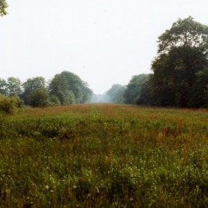 Image020