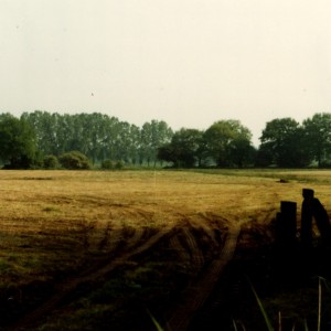 Image024