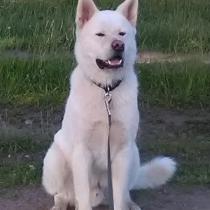 Kuma 0